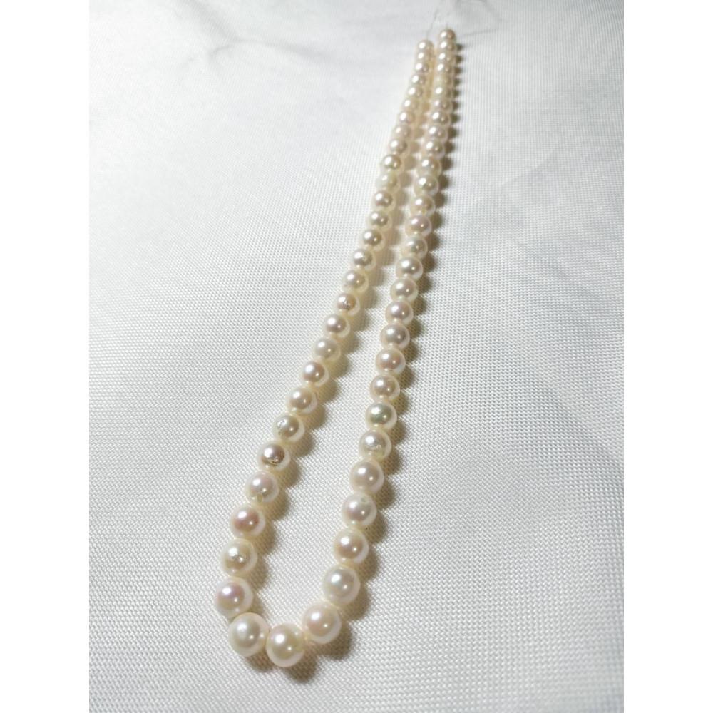 【ふるさと納税】アコヤ真珠　素材　連　7.5-8mm | 小物 ファッション 人気 おすすめ 送料無料 サムネイル2