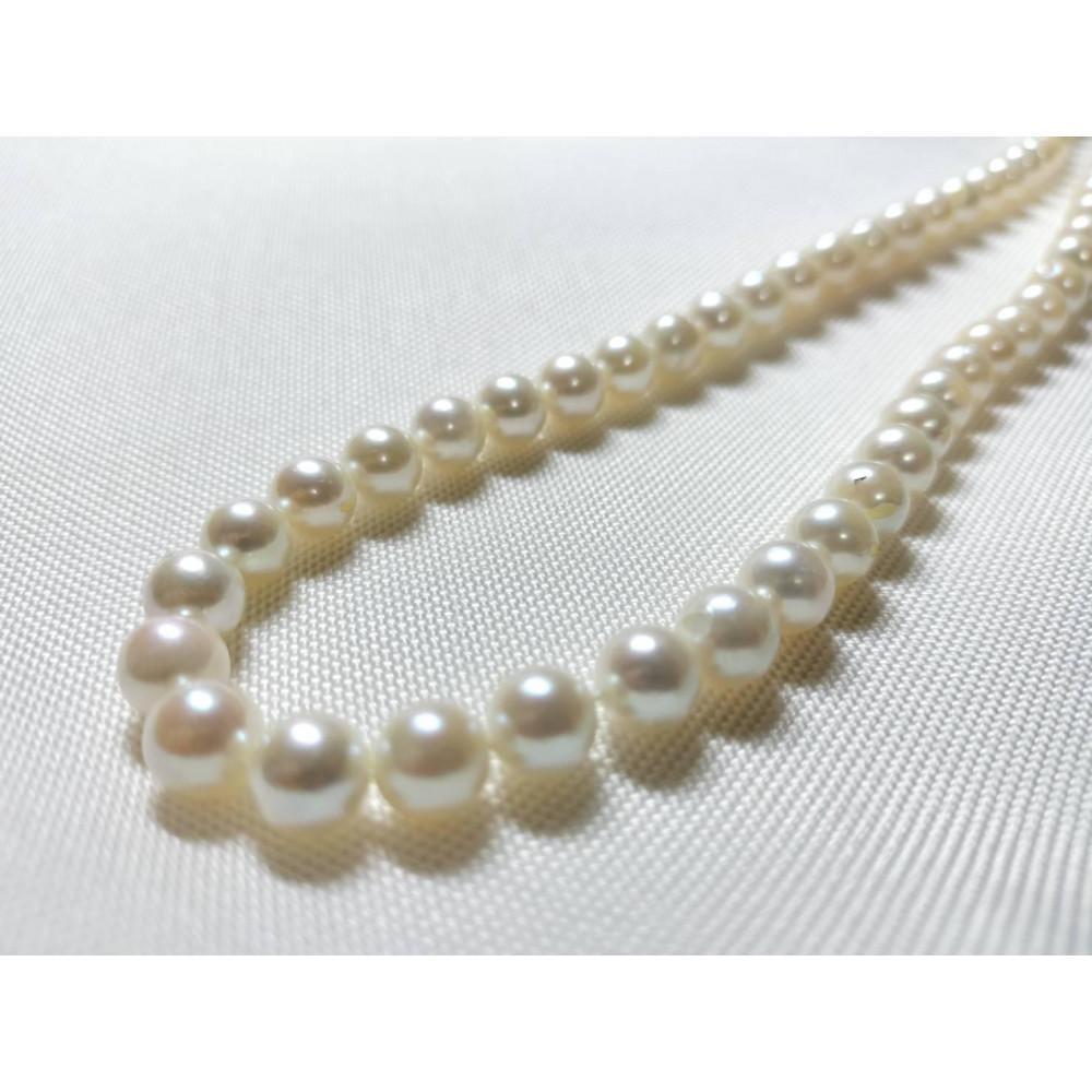 アコヤ真珠　素材　連　7-7.5mm | 小物 ファッション 人気 おすすめ 送料無料