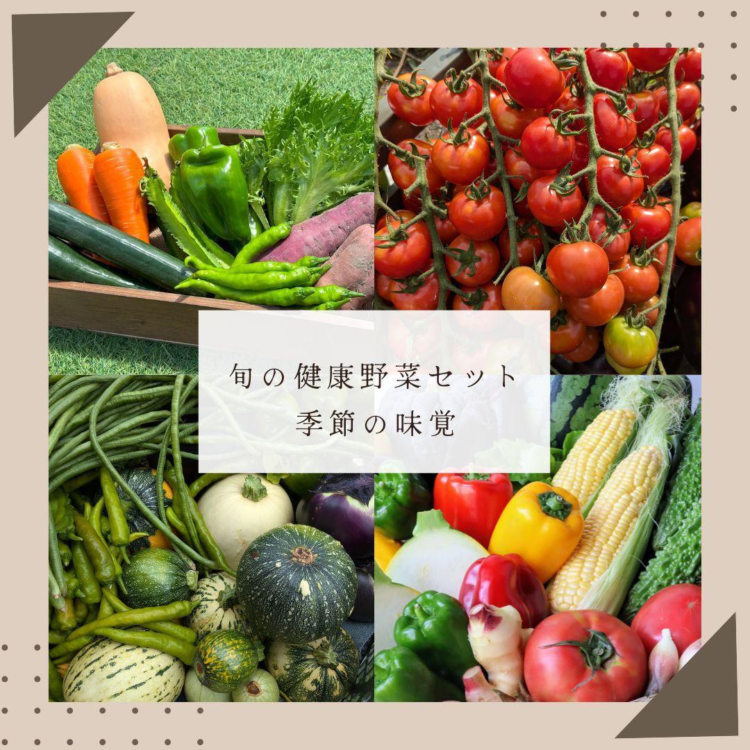 【ふるさと納税】やさいのキラメキセット【神戸市】 | お届け おたのしみ 野菜 やさい 食品 人気 おすすめ 送料無料 - 画像3