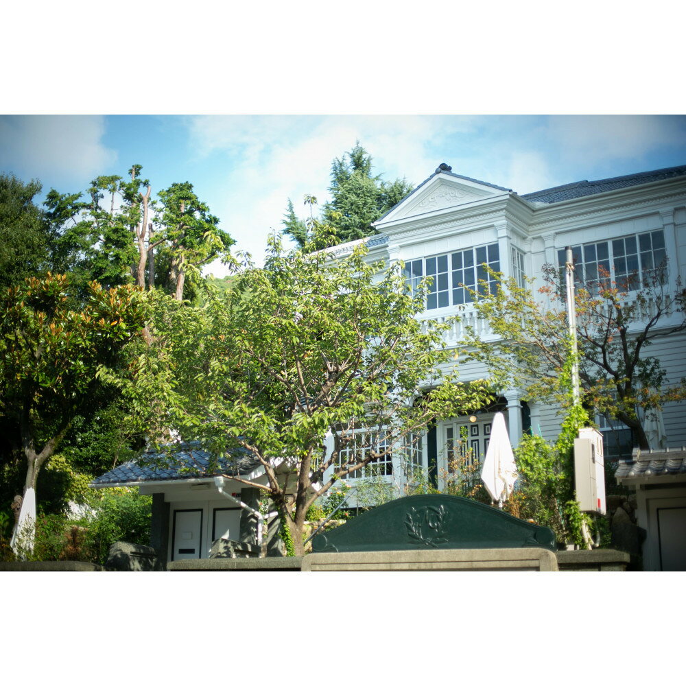 北野異人館 旧ムーア邸ギフト券 6,000円 | 神戸市 北野異人館 旧ムーア邸 カフェ ギフト券 人気 おすすめ 送料無料