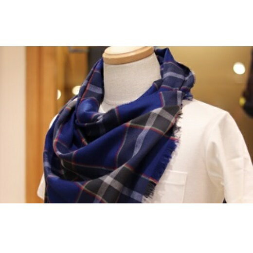 【ふるさと納税】神戸タータン シルケットウールストール | 兵庫 兵庫県 神戸 神戸市 近畿 お取り寄せ ご当地 名産品 特産品 お土産 神戸土産 楽天ふるさと ふるさと 納税 支援 返礼品 お礼の品 タータン チェック タータンチェック ウール ストール ファッション サムネイル3