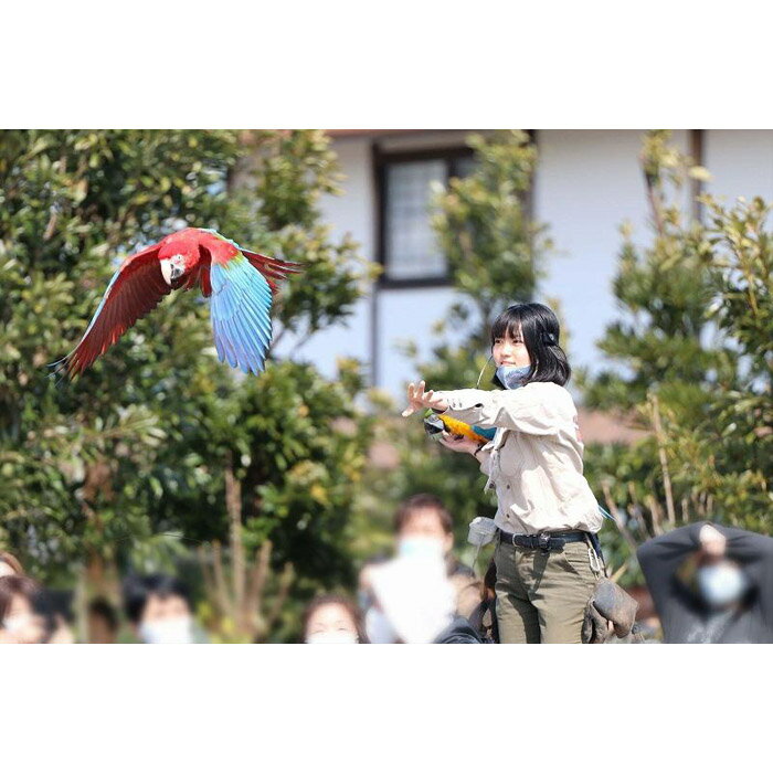 【ふるさと納税】神戸どうぶつ王国入場券付「神戸ポートピアホテル」宿泊プラン（2名1室）1泊朝食付 サムネイル2