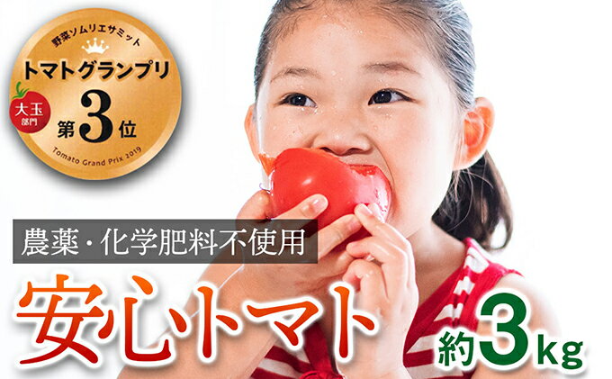 【ふるさと納税】【トマトGP受賞】栽培期間中農薬化学肥料不使用 こだわりのプレミアムトマト 約3kg 野菜 　お届け：2025年12月1日から2026年5月31日 - 画像2
