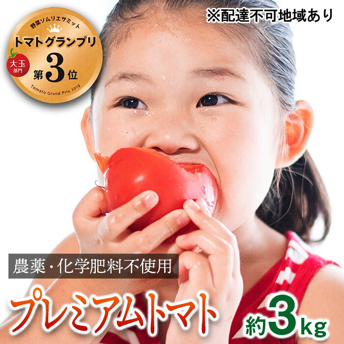 【トマトGP受賞】栽培期間中農薬化学肥料不使用 こだわりのプレミアムトマト 約3kg 野菜 　お届け：2025年12月1日から2026年5月31日