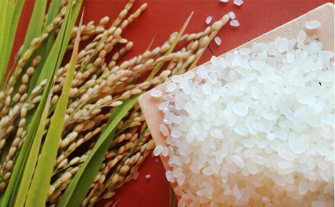 【ふるさと納税】特別栽培米　ヒノヒカリ　精米10kg（5kg×2袋） お米 - 画像3