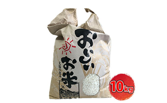 【ふるさと納税】[令和7年産]＜10月初旬以降発送予定＞きぬひかり10キロ 兵庫県姫路市産　白米　米　お米 精米 ご飯 甘みが強い ツヤ キヌヒカリ もっちりとした食感 単一原料米 おいしいお米 　お届け：2025年10月上旬より順次出荷 - 画像3
