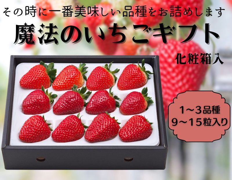 【ふるさと納税】【12月上旬から順次出荷】魔法のいちごギフト化粧箱入り 果物 フルーツ デザート かおり野 かんな姫 おいCベリー よつぼし 紅ほっぺ　ほしうらら　スターナイト　お届け：2026年12月上旬～2026年2月中旬まで サムネイル2