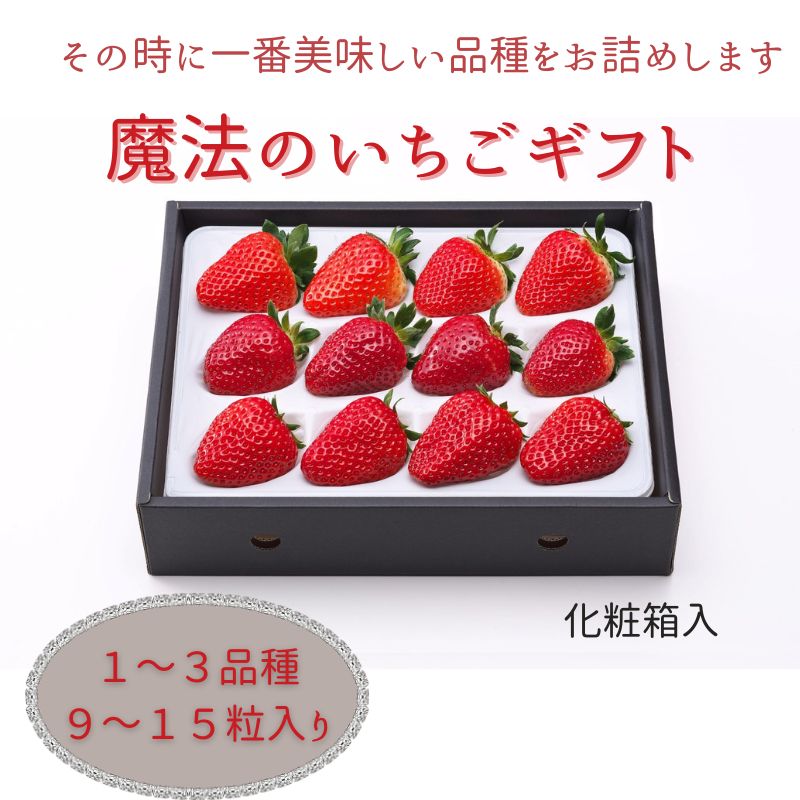 【12月上旬から順次出荷】魔法のいちごギフト化粧箱入り 果物 フルーツ デザート かおり野 かんな姫 おいCベリー よつぼし 紅ほっぺ　ほしうらら　スターナイト　お届け：2026年12月上旬～2026年2月中旬まで