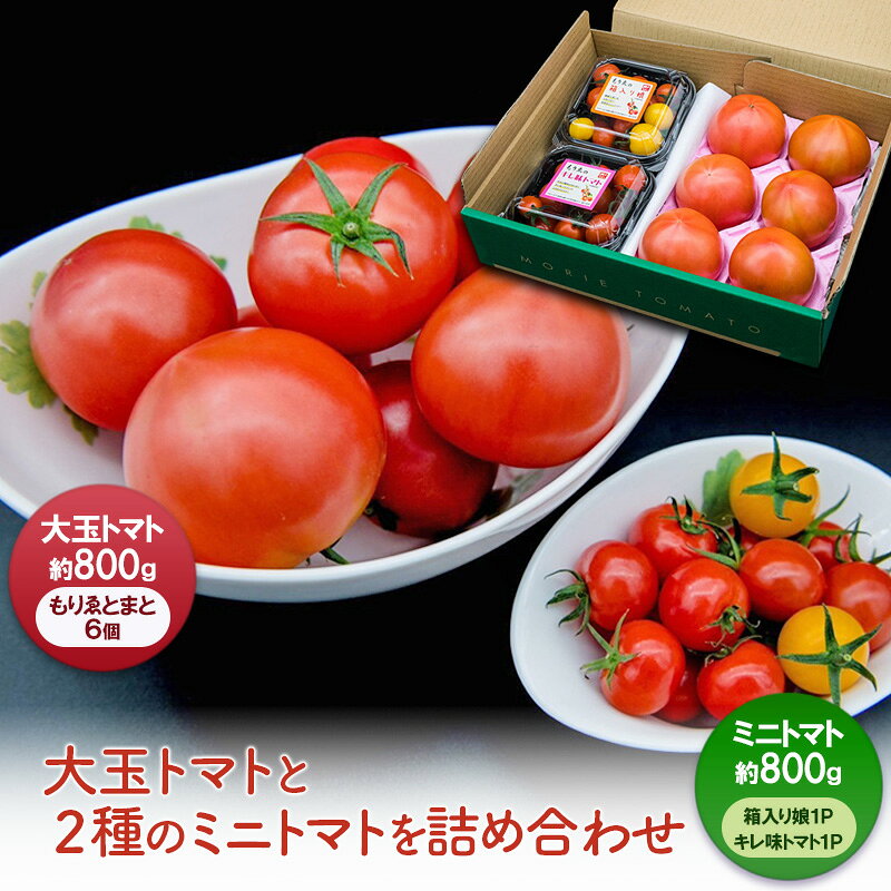【11月中旬以降順次出荷】ミニセット（もりゑ＆ミニ2種）[ 大玉 とまと ミニ トマト 高糖度 産地直送 野菜 ]　お届け：2025年11月中旬以降お届け