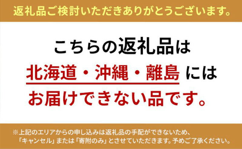 【ふるさと納税】【11月中旬以降順次出荷】ミニセット（もりゑ＆ミニ2種）[ 大玉 とまと ミニ トマト 高糖度 産地直送 野菜 ]　お届け：2025年11月中旬以降お届け - 画像3