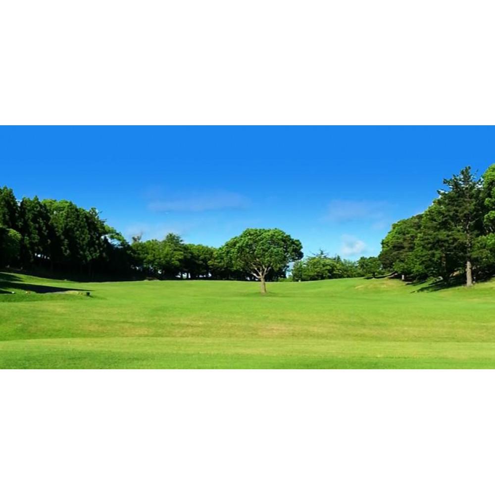 【ふるさと納税】【兵庫県相生市】相生カントリー倶楽部　全日プレーフィ無料券1枚 | 相生 ゴルフ場無料券 相生カントリークラブ 全日プレー券 人気 おすすめ ゴルフ レジャー チケット ギフト お取り寄せ 通販 送料無料 ふるさと納税 - 画像3