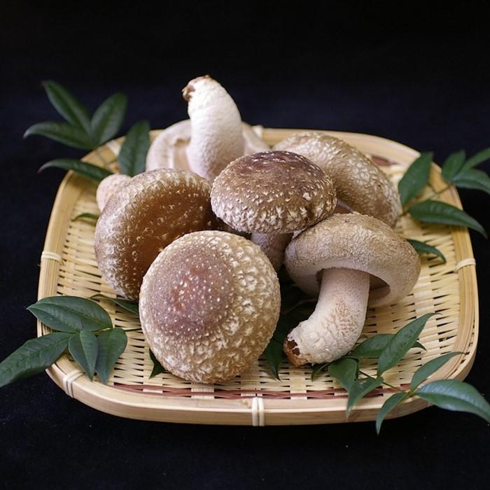 【有機】深山農園の 瀬戸内しいたけ ～肉厚で、大きく、ジューシー～400g | 相生 有機農園 瀬戸内産 旨味たっぷり 肉厚 きのこ 人気 おすすめ 有機栽培 野菜 食材 グルメ お取り寄せ 通販 送料無料 ふるさと納税