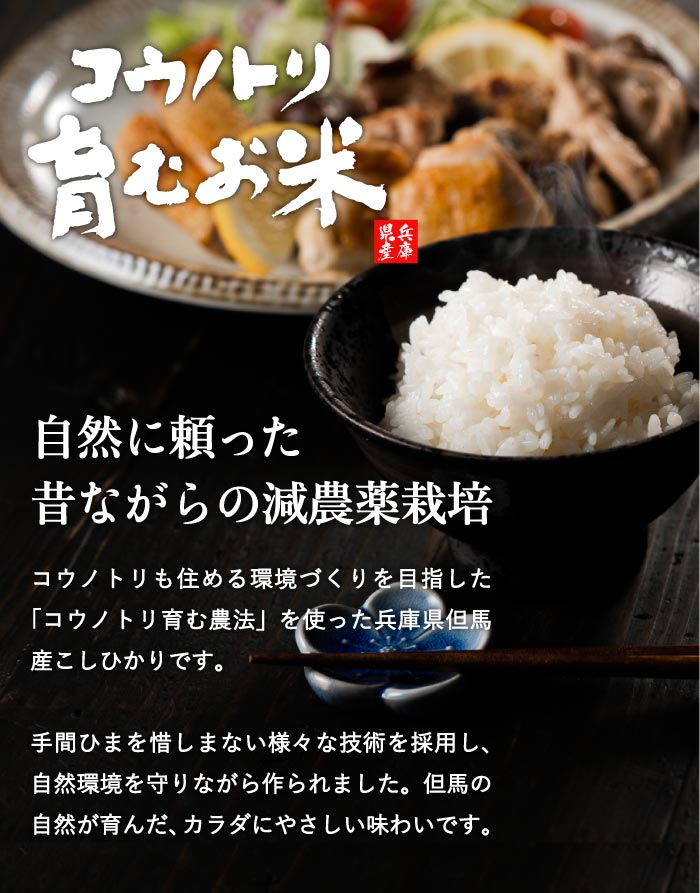 【ふるさと納税】令和7年産 減農薬 パックライス 200g 24食 / 特別栽培米 パックご飯 コウノトリ育むお米 米 コシヒカリ お米 ごはん レンチン ご飯 白米 非常食 長期保存 備蓄 電子レンジ ライス ご飯パック - 画像2