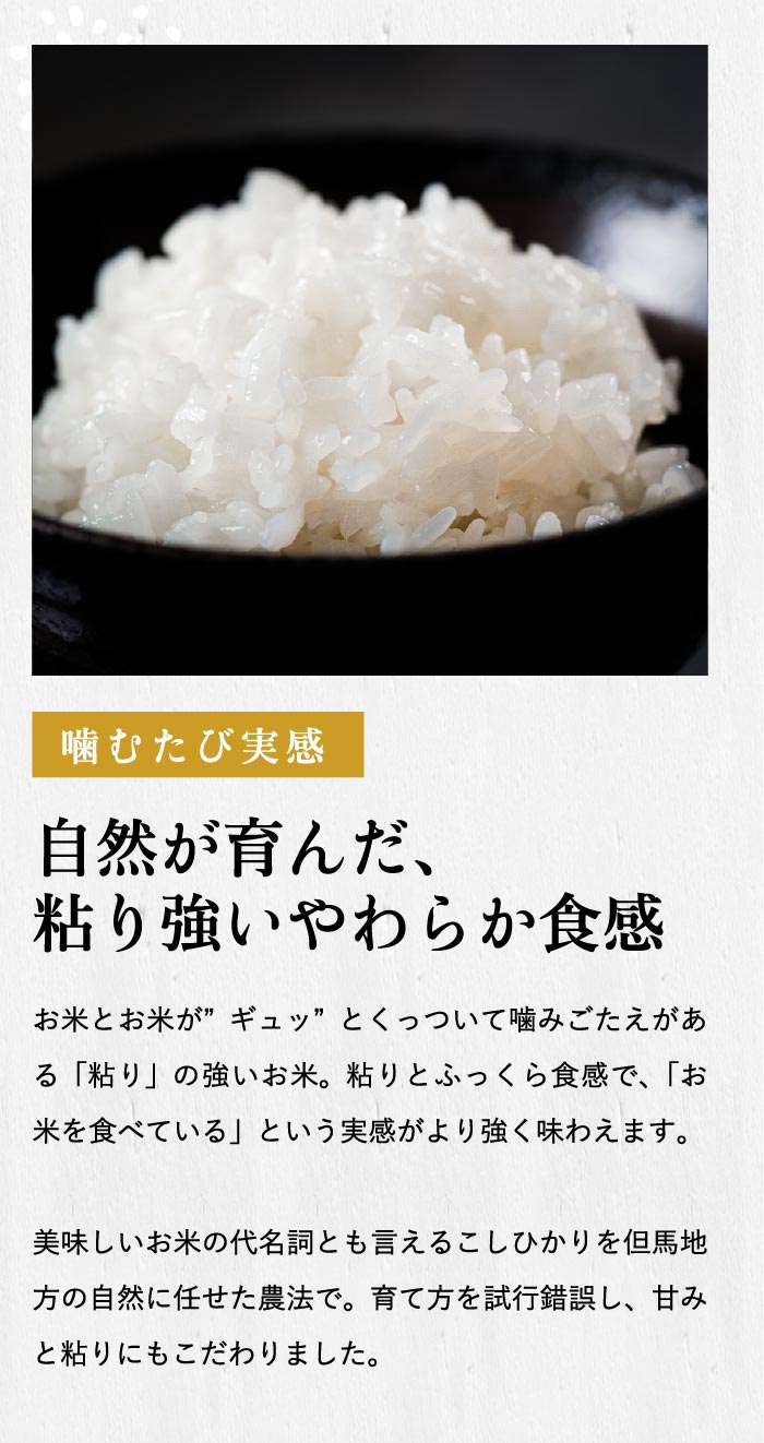 【ふるさと納税】令和7年産 減農薬 パックライス 200g 24食 / 特別栽培米 パックご飯 コウノトリ育むお米 米 コシヒカリ お米 ごはん レンチン ご飯 白米 非常食 長期保存 備蓄 電子レンジ ライス ご飯パック - 画像3