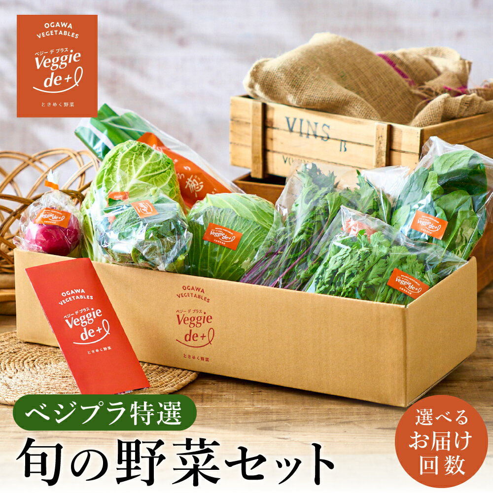 旬の新鮮なお野菜を産地直送！ベジプラ特選 旬の野菜セット 選べる定期便1回・4回・12回 / 野菜 詰め合わせ セット 野菜セット やさい 苦みが少ない 甘い【野菜例：キャベツ 水菜 ミニトマト レタス とろり葱 ほうれん草 etc】