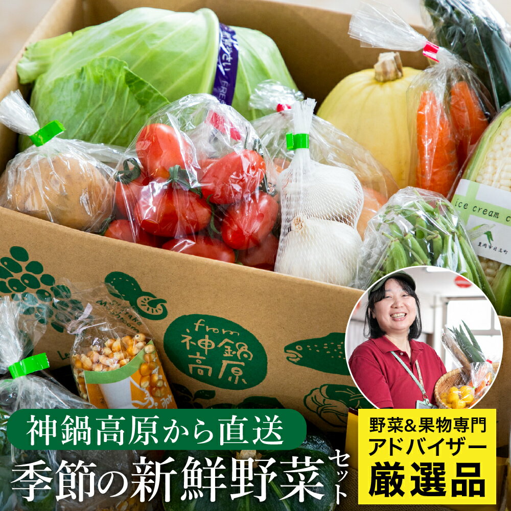 神鍋高原の畑から直送！専門アドバイザーがセレクトした季節のお野菜 詰め合わせセット 充実の5〜10品 / 新鮮 野菜セット 産地直送 やさい misosu 詰め合わせ 夏野菜 セット 野菜【道の駅神鍋高原】【お電話で希望の配送日時を確認しますので受取安心】
