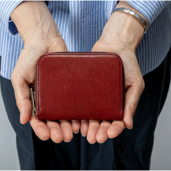 【ふるさと納税】豊岡財布 AW0402 レッザボタニカ ミニマルチウォレット（ワインレッド）/ ALBAPIE 財布 サイフ メンズ レディース 本革 サムネイル2