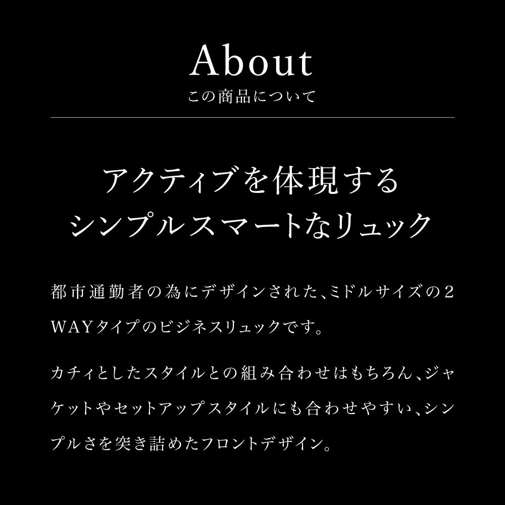 【ふるさと納税】豊岡鞄 ベルーフバゲージ Urban Commuter 2WAY BACK PACK HA（ブラック）/ beruf baggage バックパック ビジネスバッグ ビジネスリュック リュックサック メンズ リュックメンズ カバン サムネイル3