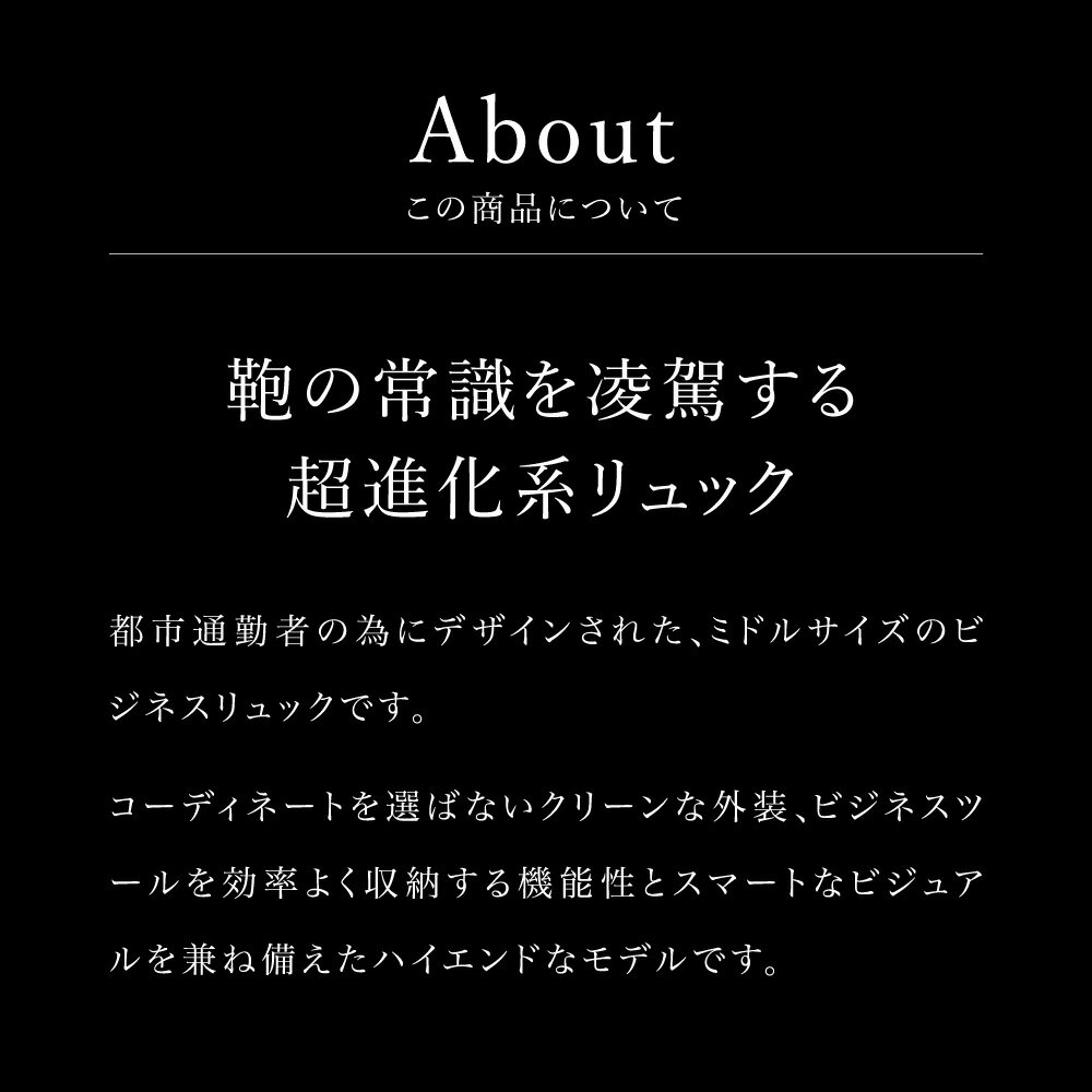 【ふるさと納税】豊岡鞄 ベルーフバゲージ Urban Commuter BACK PACK 2 HA（ブラック）/ beruf baggage バックパック ビジネスバッグ ビジネスリュック リュックサック メンズ リュックメンズ カバン - 画像3