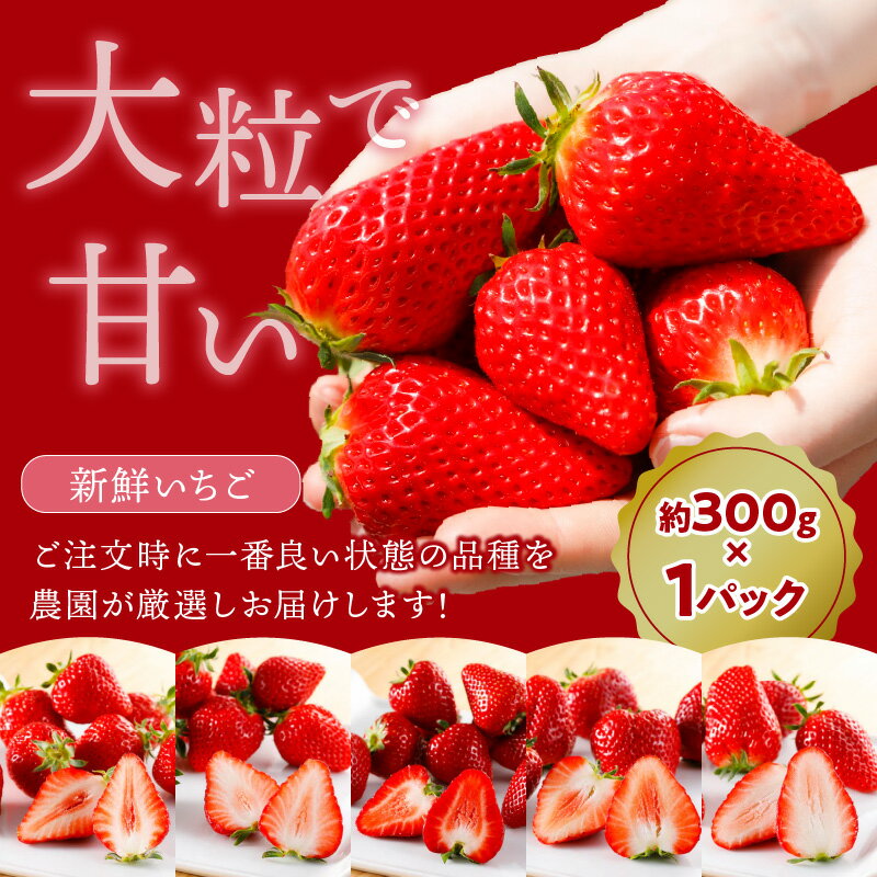 【ふるさと納税】【レビューキャンペーン】はたやの新鮮いちご＆果肉入りジャムのセット[12月下旬より順次発送]《 ふるさと納税いちご イチゴ 苺 フルーツ工房はたや 高級 フルーツ ジャム 送料無料 》 サムネイル3