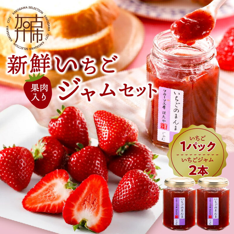 【レビューキャンペーン】はたやの新鮮いちご＆果肉入りジャムのセット[12月下旬より順次発送]《 ふるさと納税いちご イチゴ 苺 フルーツ工房はたや 高級 フルーツ ジャム 送料無料 》