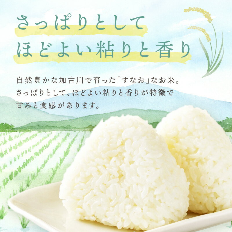 【ふるさと納税】【令和7年産 2025年11月より順次発送】はしもとさんちのお米《 米 選べる 5kg 10kg ひのひかり 白米 国産 送料無料 》 - 画像2