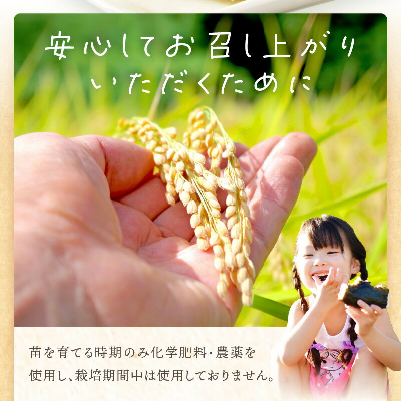 【ふるさと納税】【令和7年産 2025年11月より順次発送】はしもとさんちのお米《 米 選べる 5kg 10kg ひのひかり 白米 国産 送料無料 》 - 画像3