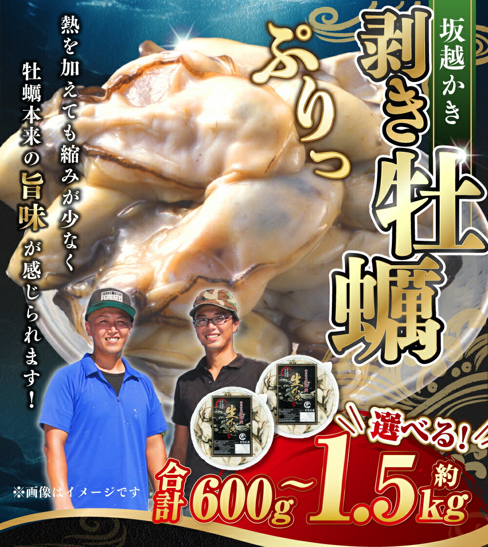 【ふるさと納税】＜選べる容量＞ 牡蠣 坂越かき 剥き牡蠣 約600g 約1kg 約1.5kg ／ かき カキ オイスター 生牡蠣 生カキ 生ガキ 生がき 剥き身 魚介 貝 海産物 生食 パック 瀬戸内海 坂越湾 兵庫県 赤穂市 冷蔵 送料無料 【2025年12月上旬-2026年4月下旬まで発送予定】 サムネイル2