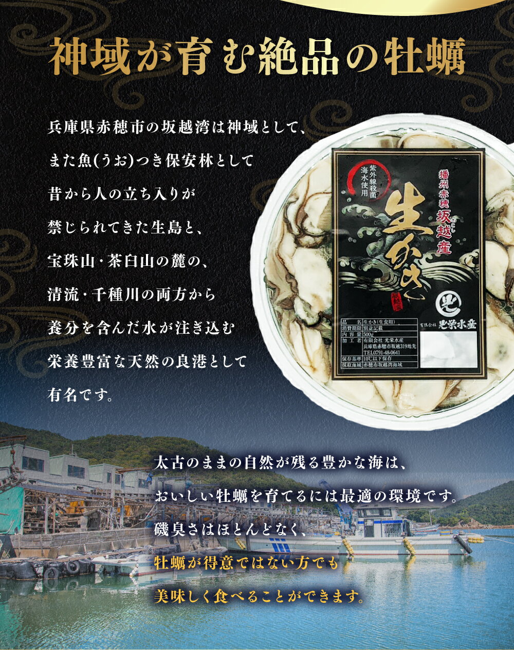 【ふるさと納税】＜選べる容量＞ 牡蠣 坂越かき 剥き牡蠣 約600g 約1kg 約1.5kg ／ かき カキ オイスター 生牡蠣 生カキ 生ガキ 生がき 剥き身 魚介 貝 海産物 生食 パック 瀬戸内海 坂越湾 兵庫県 赤穂市 冷蔵 送料無料 【2025年12月上旬-2026年4月下旬まで発送予定】 サムネイル3
