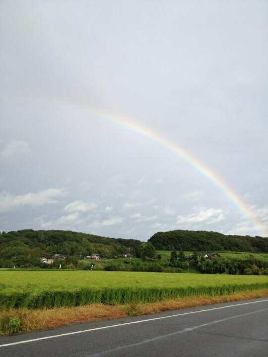 【ふるさと納税】令和7年産 じぃじが作った美味しいお米ミルキークィーン5kg【北海道・沖縄・離島　配送不可】 - 画像3