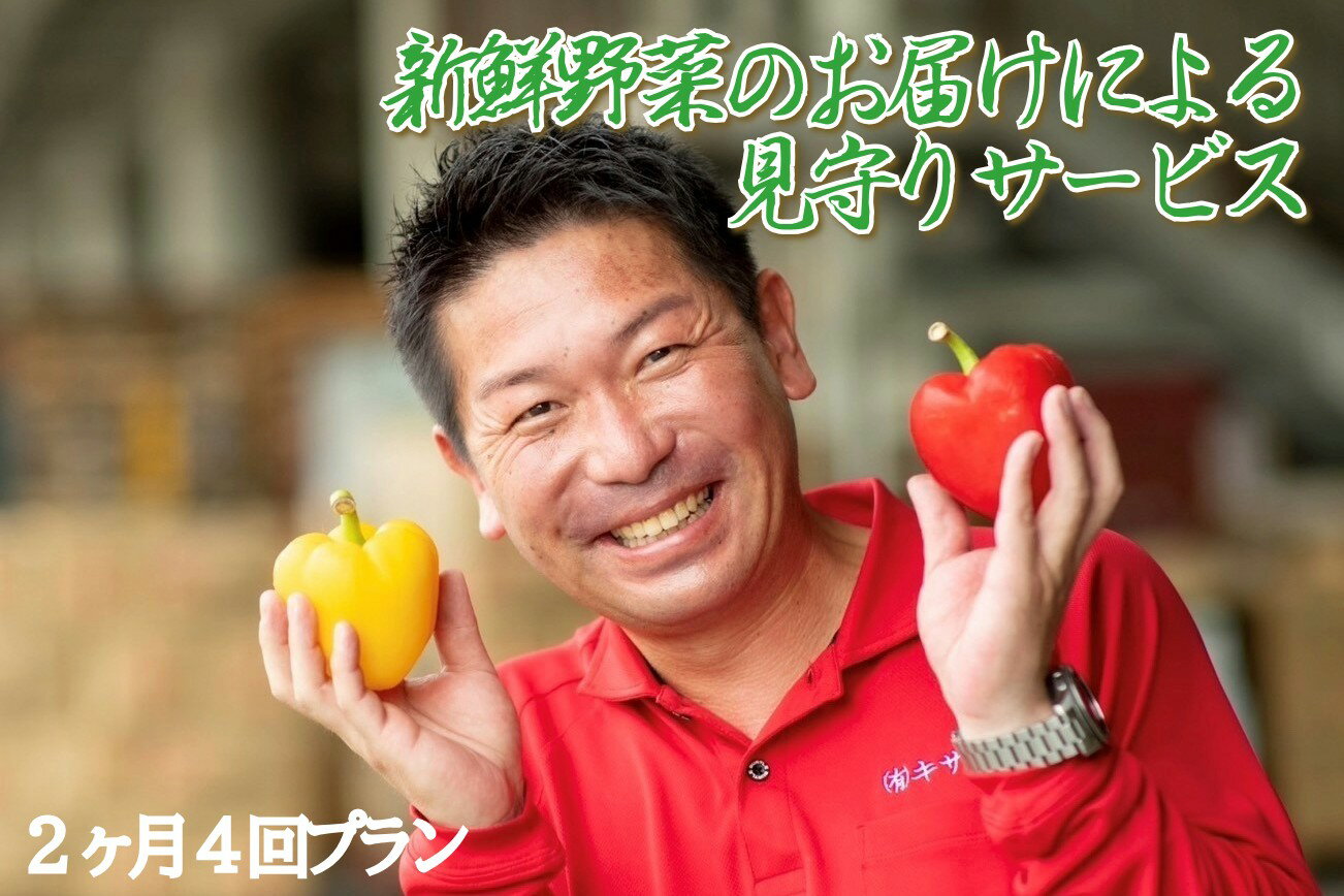新鮮野菜のお届けによる見守りサービス（2ヶ月4回お届け） 一人暮らし 笑顔と共に 家族愛 見守り 新鮮野菜 宅配【 兵庫県 高砂市 】