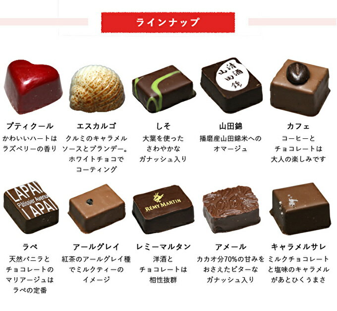 【ふるさと納税】チョコ 自慢の ボンボンショコラ 15粒 詰め合わせ アベニュー・ド・ラペ チョコレート 食べ比べ スイーツ お菓子 菓子 おやつ デザート ご当地 有名 ギフト 贈答 贈答品 冷蔵 冷蔵配送 兵庫 兵庫県 小野市　お届け：2025年12月から2026年5月末まで - 画像3