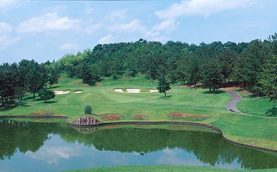 【ふるさと納税】ゴルフ場 兵庫 プレーご利用 割引券 12枚 小野グランドカントリークラブ ゴルフプレー券 ゴルフプレー ゴルフ 練習 券 チケット ギフト券 利用券 旅行 兵庫県 小野市 - 画像2