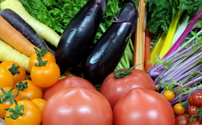 【ふるさと納税】はっぱやの旬野菜おまかせセット 野菜類 詰合せ - 画像2