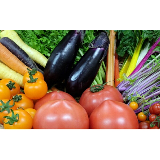 はっぱやの旬野菜おまかせセット 野菜類 詰合せ