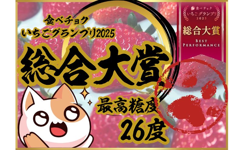【ふるさと納税】【予約受付】大粒いちご 15粒入りセット 2026年1月以降順次発送予定[ いちご イチゴ 苺 フルーツ 果物 新鮮 糖度 ] 果物類 　お届け：2026年1月上旬～2026年3月末 サムネイル2