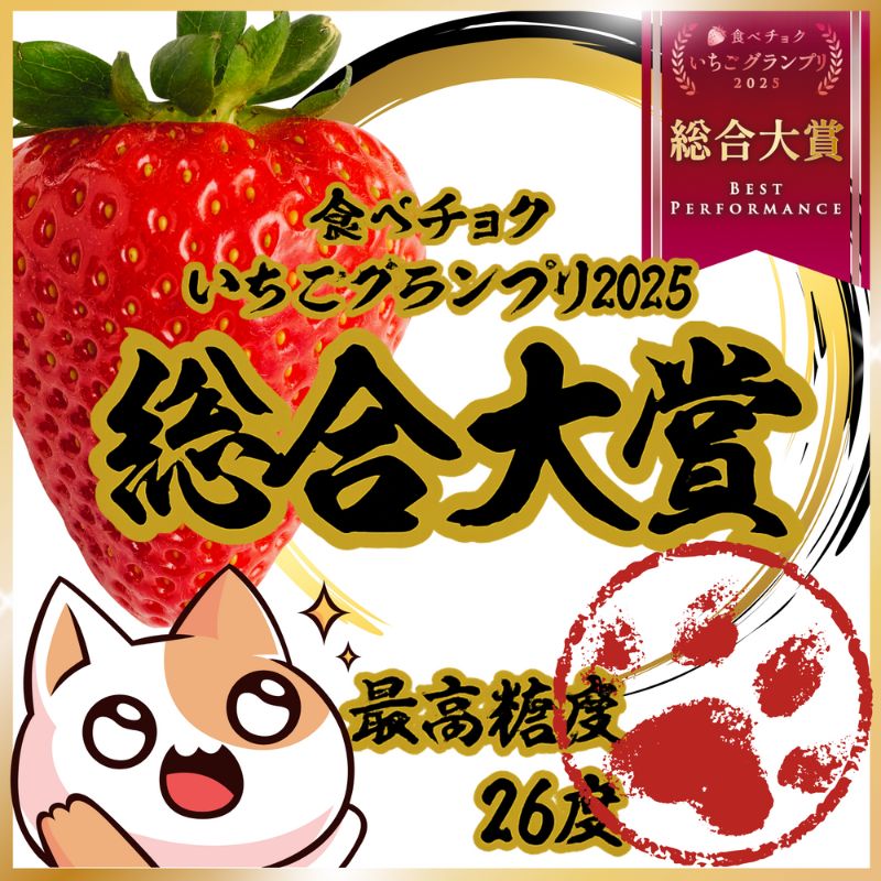 【予約受付】大粒いちご 15粒入りセット 2026年1月以降順次発送予定[ いちご イチゴ 苺 フルーツ 果物 新鮮 糖度 ] 果物類 　お届け：2026年1月上旬～2026年3月末