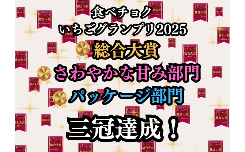 【ふるさと納税】【予約受付】大粒いちご 15粒入りセット 2026年1月以降順次発送予定[ いちご イチゴ 苺 フルーツ 果物 新鮮 糖度 ] 果物類 　お届け：2026年1月上旬～2026年3月末 サムネイル3