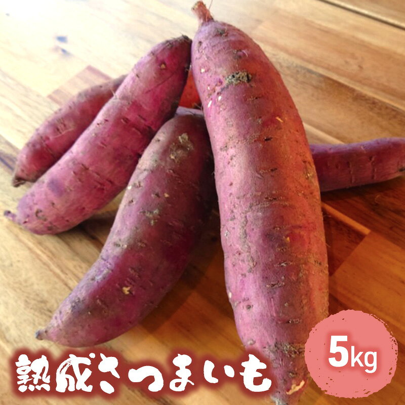 訳あり 熟成 さつまいも 5kgセット[ 不揃い 野菜 ] 食材 国産 国産野菜 紅はるか ふくむらさき 紅あずま 熟成さつまいも