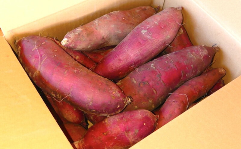 【ふるさと納税】訳あり 熟成 さつまいも 5kgセット[ 不揃い 野菜 ] 食材 国産 国産野菜 紅はるか ふくむらさき 紅あずま 熟成さつまいも - 画像3