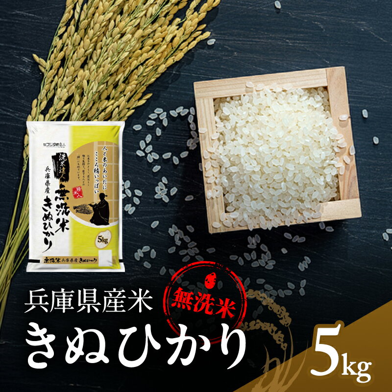 無洗米 キヌヒカリ 5kg 米 お米 精米 白米 銘柄米 ブランド米 5キロ 産地直送 兵庫県産 兵庫 兵庫県 小野市