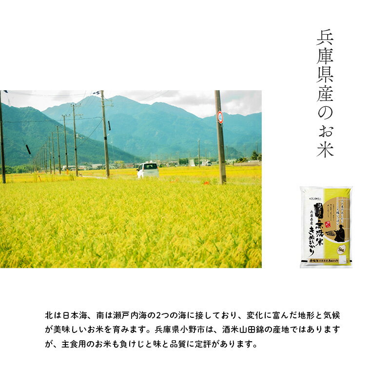 【ふるさと納税】無洗米 キヌヒカリ 5kg 米 お米 精米 白米 銘柄米 ブランド米 5キロ 産地直送 兵庫県産 兵庫 兵庫県 小野市 - 画像3