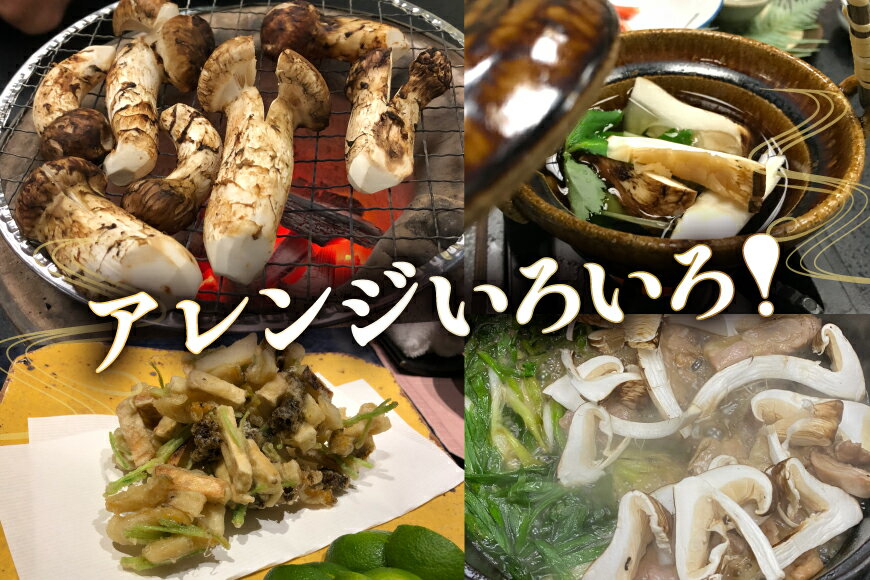 【ふるさと納税】 三田 松茸 中つぼ 約350g まつたけ 秋の味覚 きのこ キノコ 旬の野菜 贈答品 歳暮 お歳暮 新年 年末 贈り物 ギフト 食品 ギフト ふるさと納税 ふるさと 人気 おすすめ 送料無料 兵庫県 三田市 [3d28bae460002] - 画像3