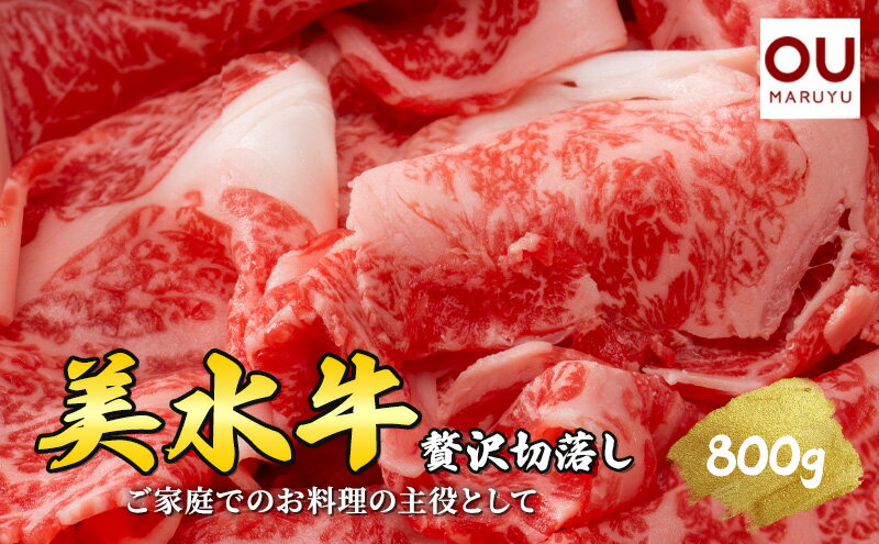 【ふるさと納税】 美水牛 贅沢 切落し ( 800g 200g×4) 牛肉 冷凍品 ギフト 肉 お祝い 但馬牛 神戸牛 三田牛 数量限定 訳あり ふるさと納税 ふるさと 人気 おすすめ 送料無料 兵庫県 三田市[ 3d28bae590013 ] - 画像2