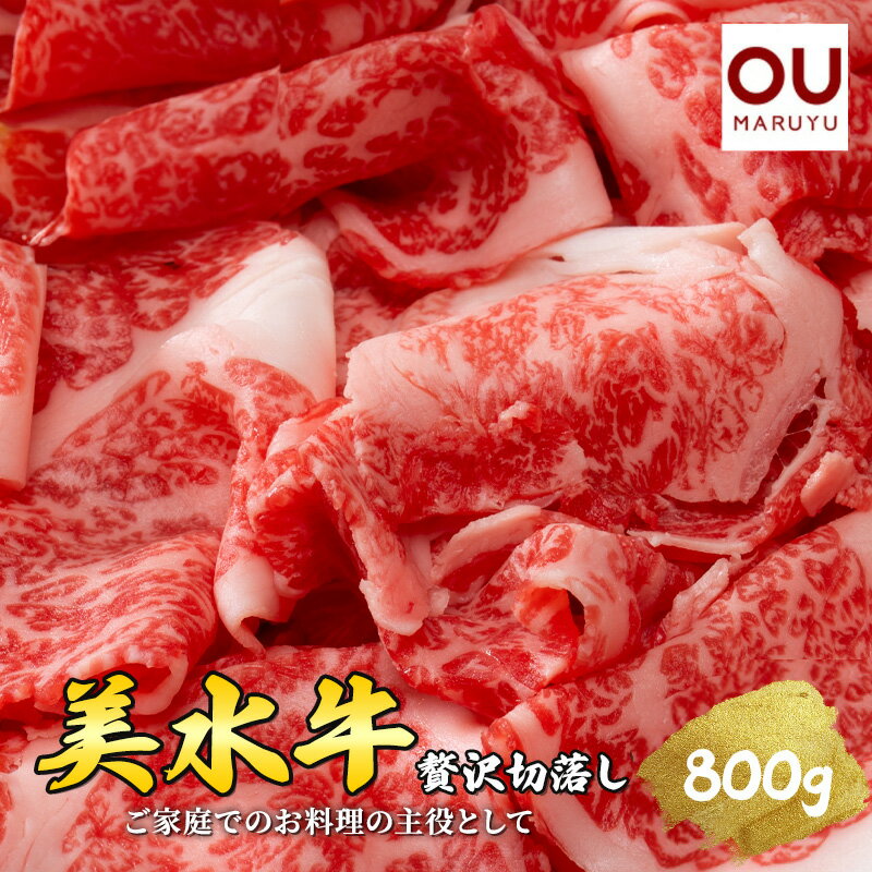 美水牛 贅沢 切落し ( 800g 200g×4) 牛肉 冷凍品 ギフト 肉 お祝い 但馬牛 神戸牛 三田牛 数量限定 訳あり ふるさと納税 ふるさと 人気 おすすめ 送料無料 兵庫県 三田市[ 3d28bae590013 ]