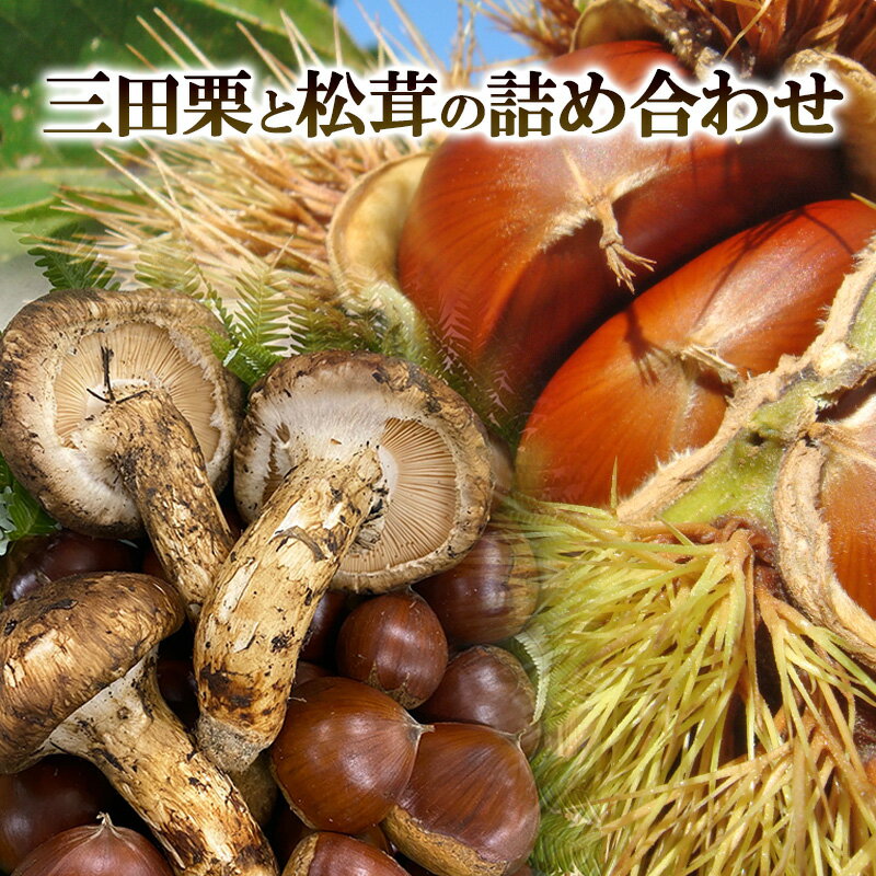 三田栗 2L (1kg) 三田 松茸 (等級混合約200g) の詰め合わせ 栗 まつたけ 秋の味覚 きのこ キノコ 旬の野菜 贈答品 贈り物 ギフト 食品 ギフト ふるさと納税 ふるさと 人気 おすすめ 送料無料 兵庫県 三田市 [3d28bae460003]
