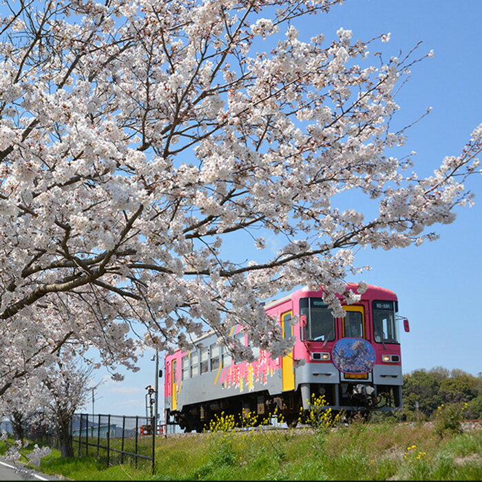 【ふるさと納税】兵庫県加西市の対象施設で使える 楽天トラベルクーポン 寄附額10，000円（3，000円クーポン） 兵庫 関西 宿泊 宿泊券 ホテル 旅館 旅行 旅行券 観光 トラベル チケット 旅 宿 券 サムネイル2