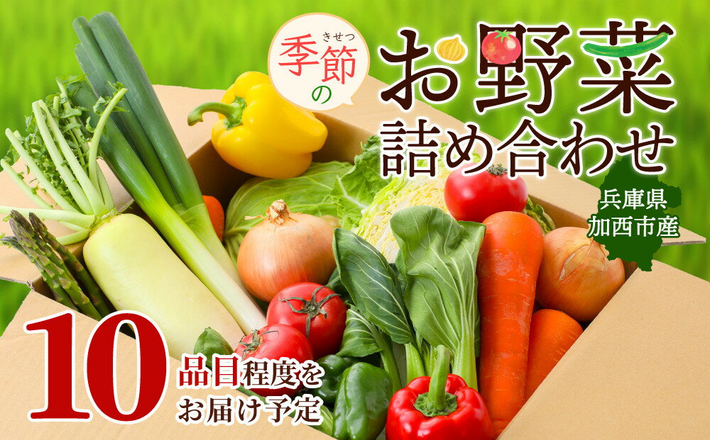 【ふるさと納税】季節の野菜 セット 詰め合わせ 10品程度 野菜 野菜セット 旬の野菜 野菜詰め合わせ 野菜詰め合わせセット 新鮮野菜 新鮮野菜詰め合わせ 新鮮 旬 - 画像2