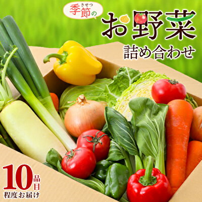 季節の野菜 セット 詰め合わせ 10品程度 野菜 野菜セット 旬の野菜 野菜詰め合わせ 野菜詰め合わせセット 新鮮野菜 新鮮野菜詰め合わせ 新鮮 旬