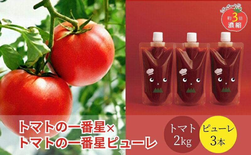 【ふるさと納税】トマト 2kg+トマトの一番星ピューレ 380g×3本セット 兵庫県産 野菜 とまと 完熟 高糖度 濃厚 甘い 賞 受賞 糖度 夏野菜 あまい お取り寄せ 冷蔵配送　お届け：2026年2月下旬～2026年6月下旬 - 画像2